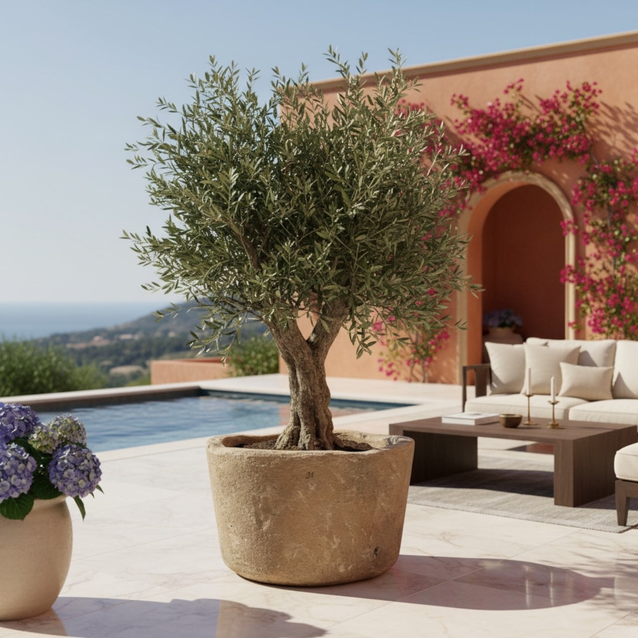 Stone Vessel - Monument -  “Tierra vieja”