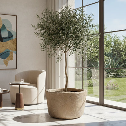 Stone Vessel - Monument -  “Tierra vieja”