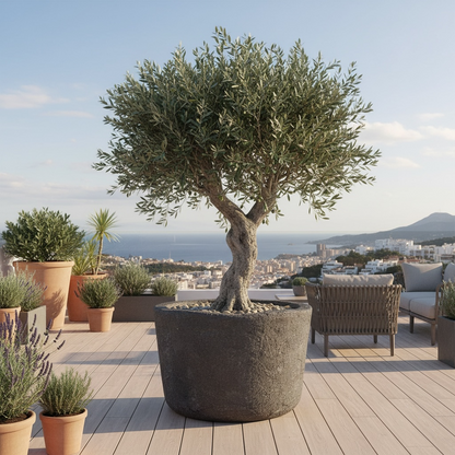 Stone Vessel - Monument -  “Basalto”